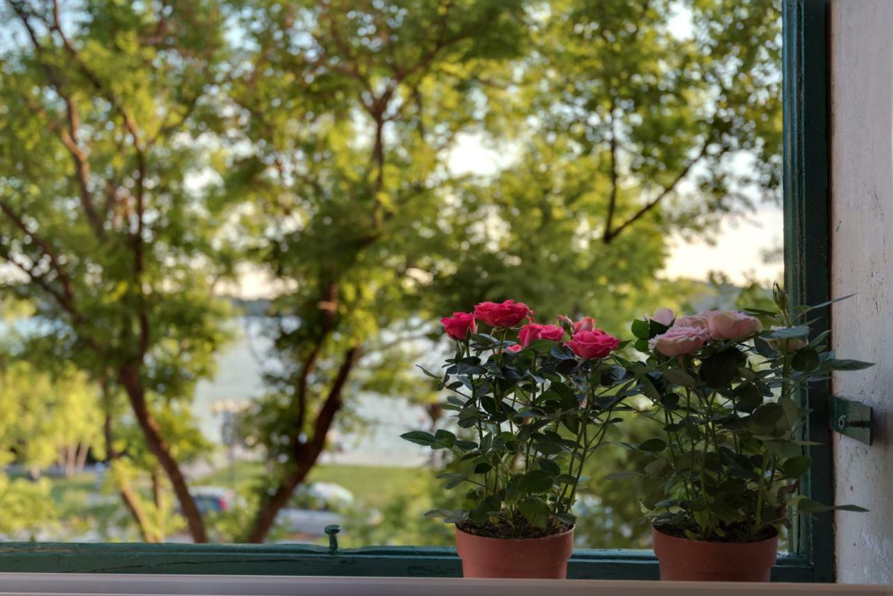 Apartment Oliveto Šibenik Eksteriør bilde